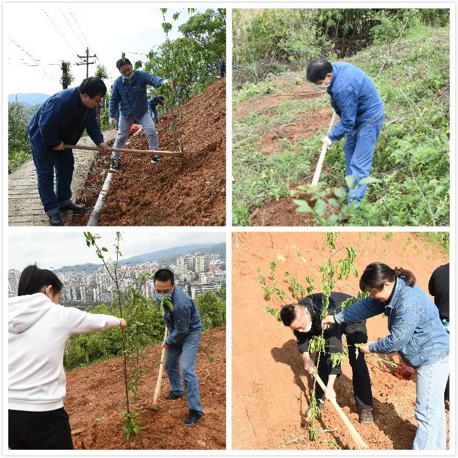 1586500658914984.jpg 植樹(shù)1.jpg